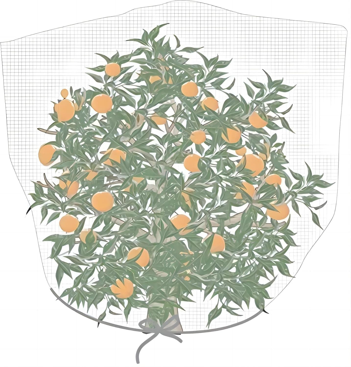 Garden Netting Cover - Bird Netting 84