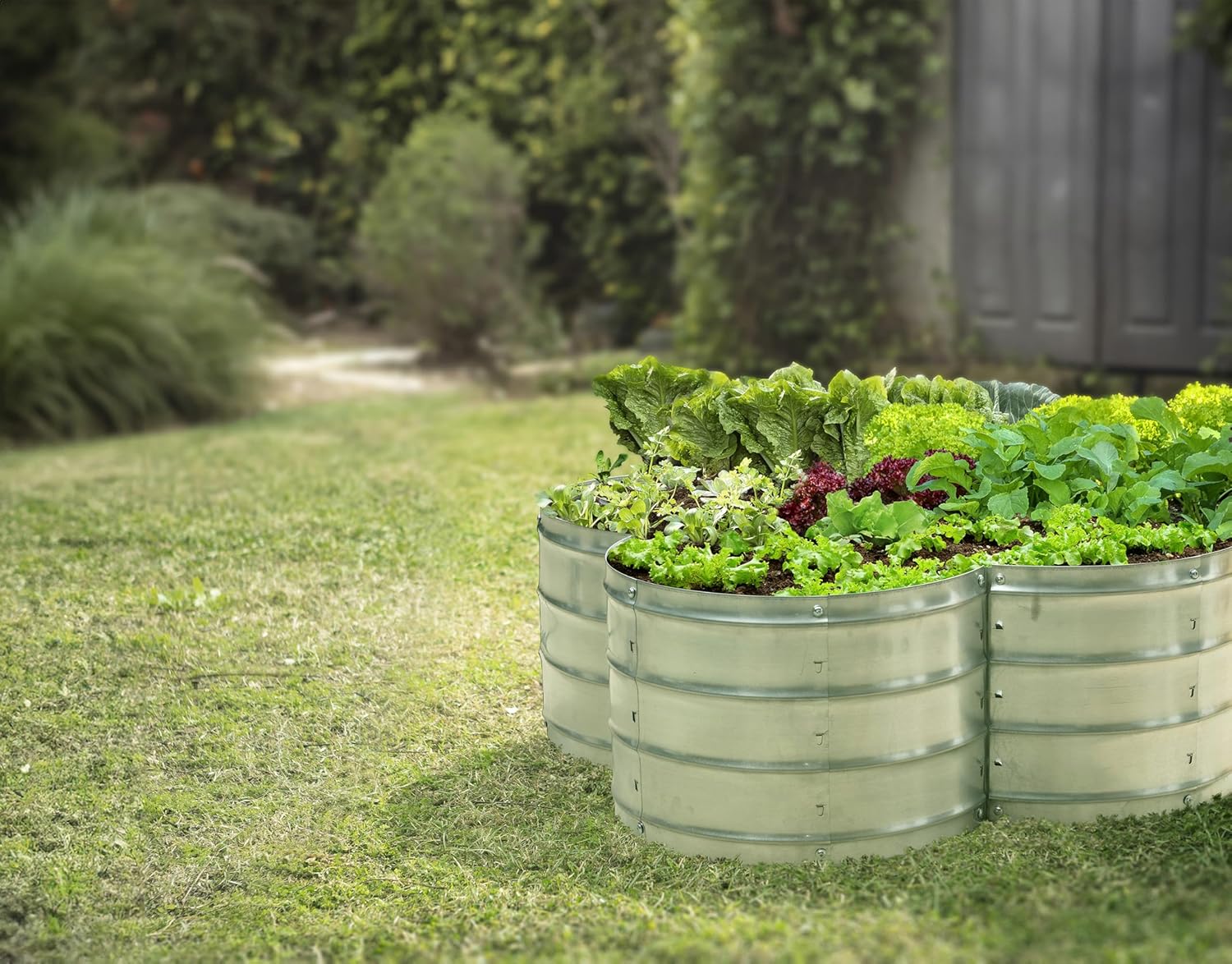 Galvanized Raised Garden Bed 3 - Gardening Tools Box incelemesi ve fiyatı