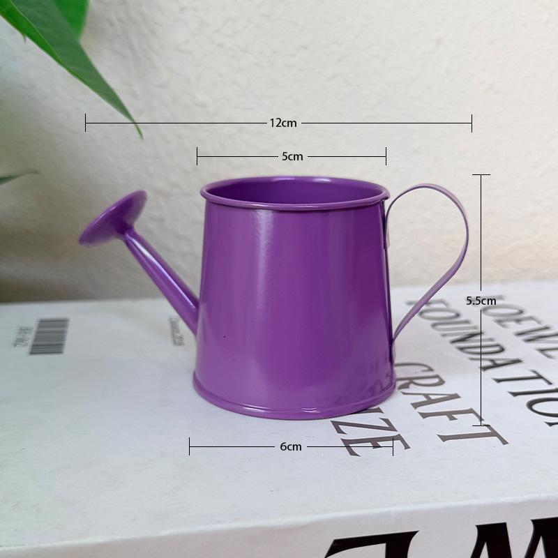 Mini Watering Can Metal Vintag - Gardening Tools Vintage incelemesi ve fiyatı