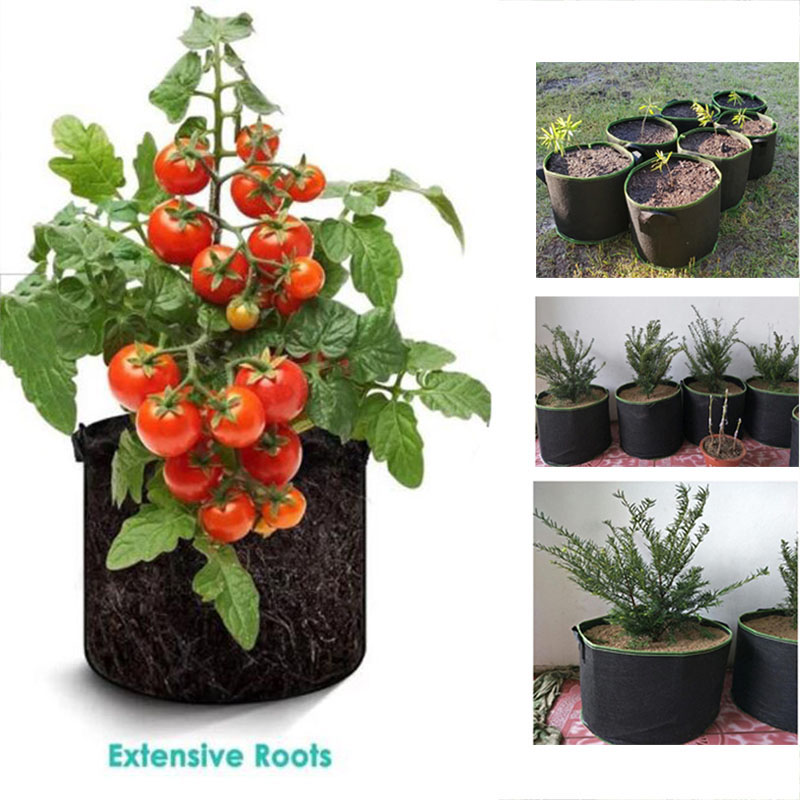 20Gal grow pots vegetable flow - Gardening Tools Big incelemesi ve fiyatı
