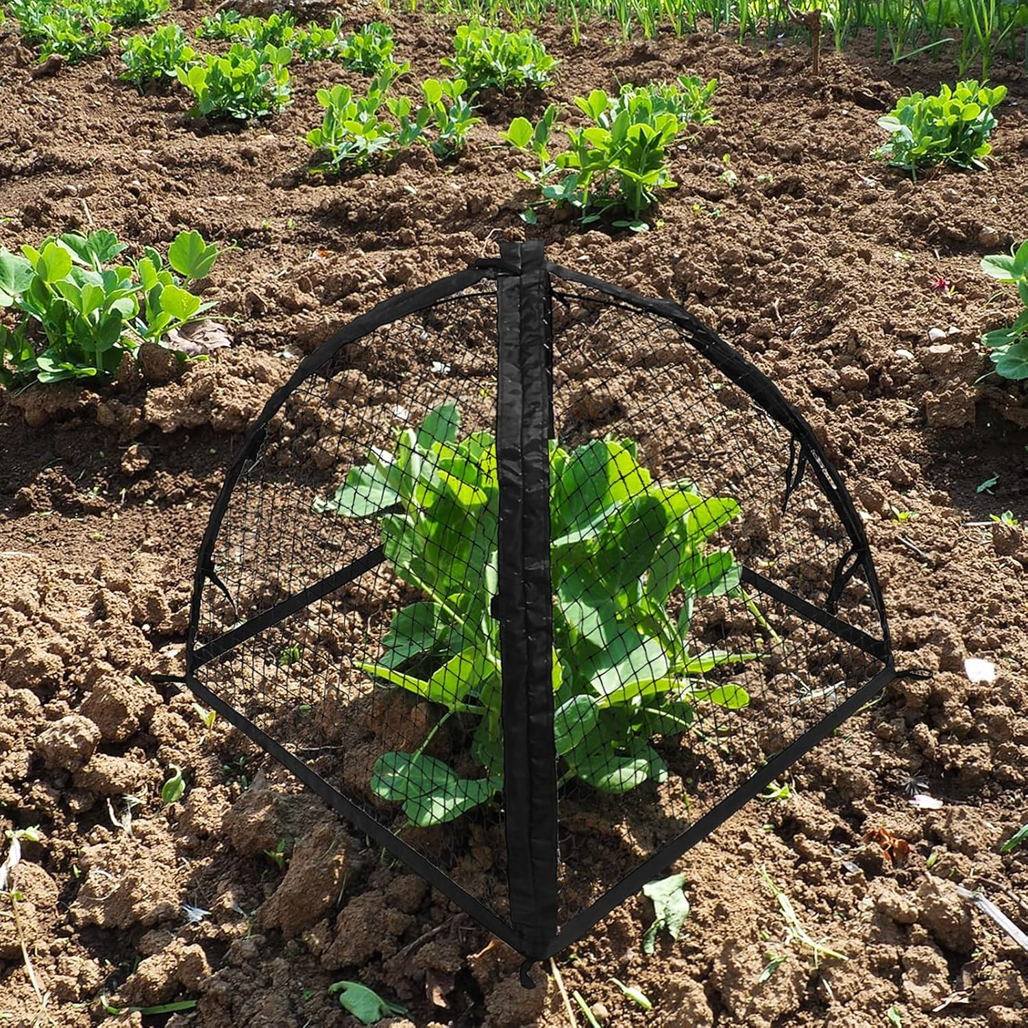 22inch Garden Netting Tent: Ea - Garden Netting Cover incelemesi ve fiyatı