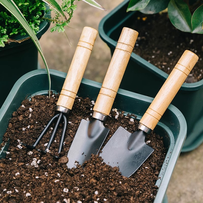 3PCS Planting Tools Mini Diggi - Gardening Tools For Digging incelemesi ve fiyatı