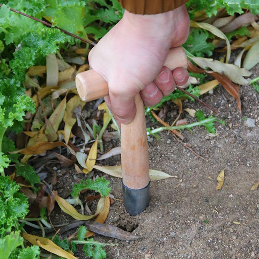 Hand Dibber Garden Tool Stainl - Gardening Tools For Digging incelemesi ve fiyatı