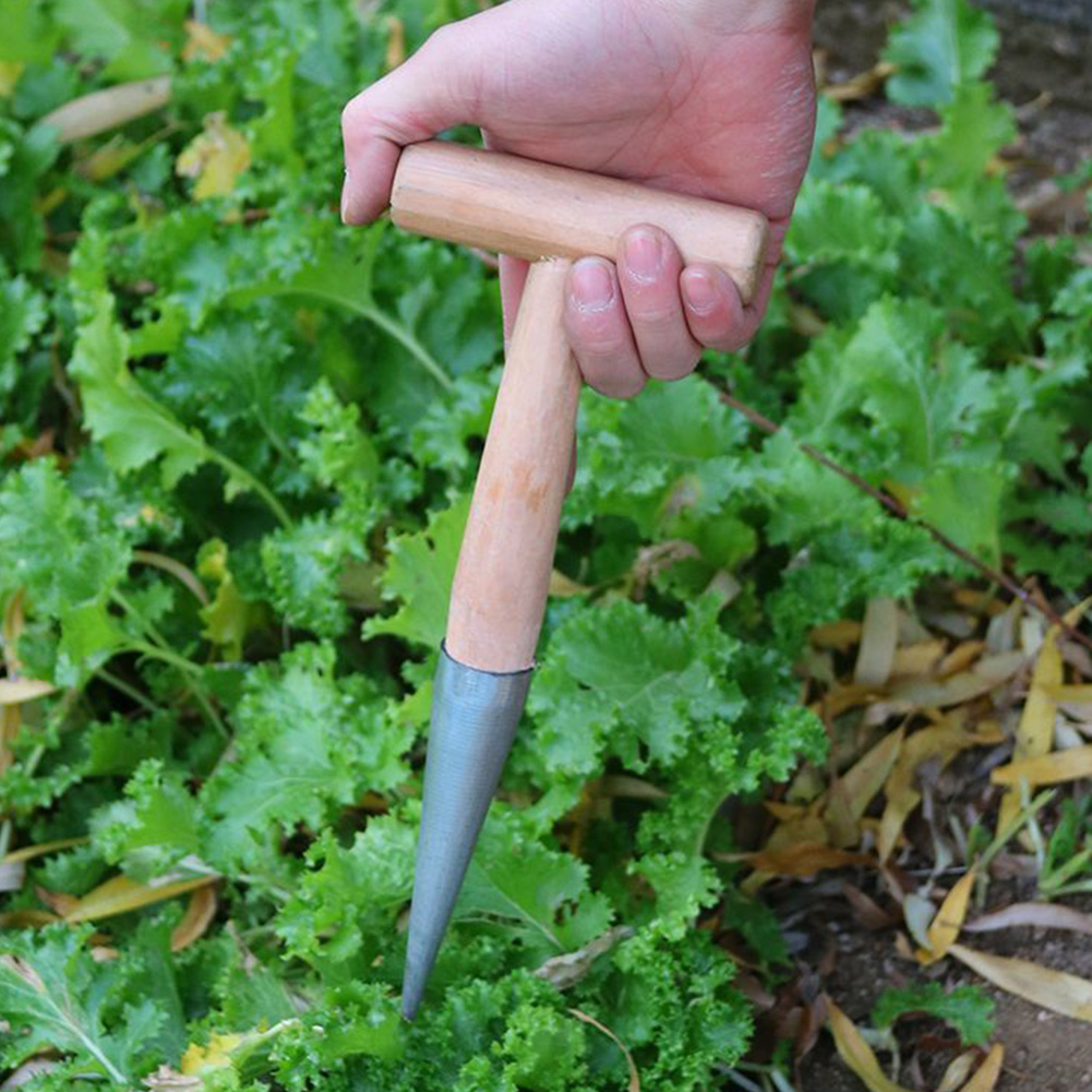Hand Dibber Garden Tool Stainl - Gardening Tools For Digging incelemesi ve fiyatı