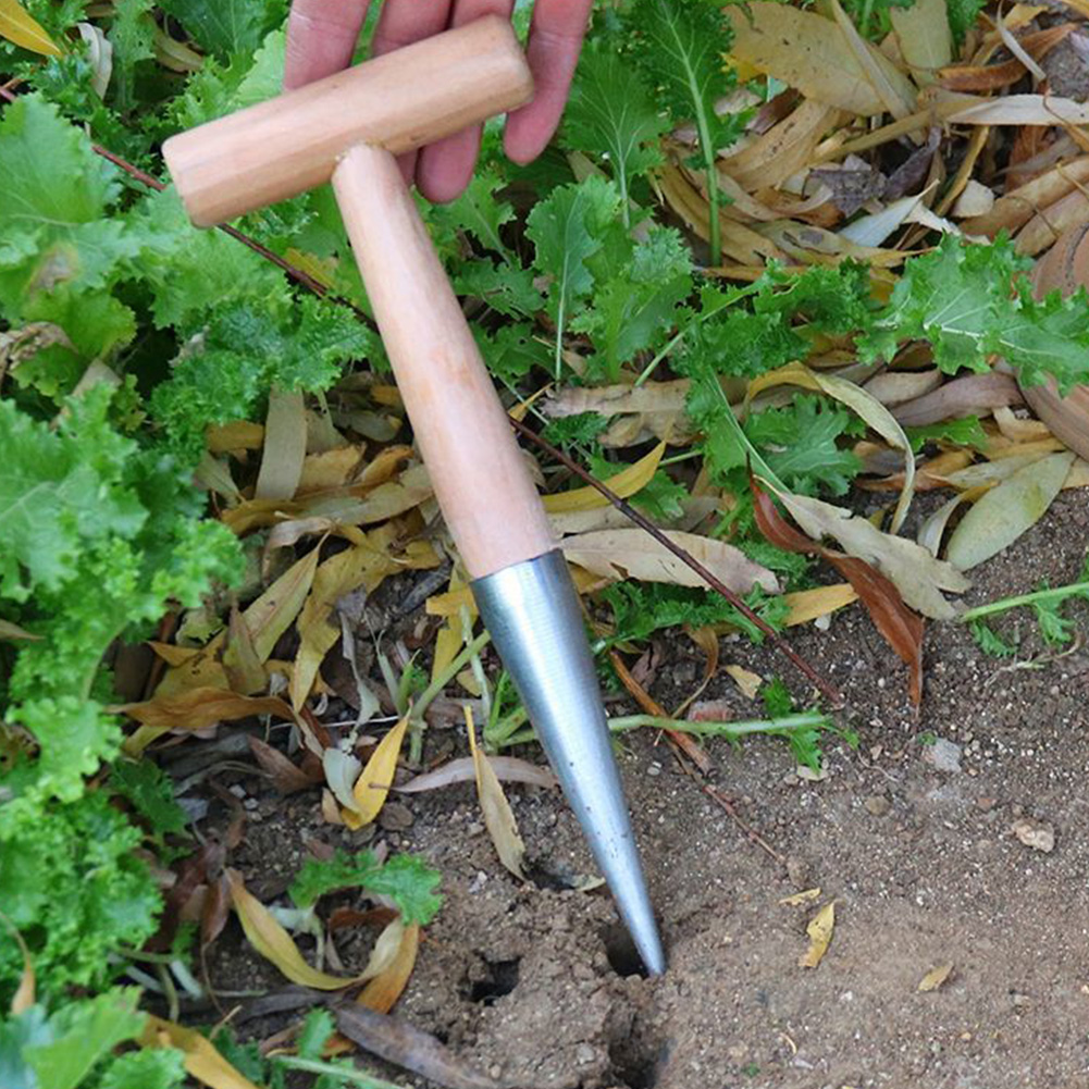 Hand Dibber Garden Tool Stainl - Gardening Tools For Digging incelemesi ve fiyatı