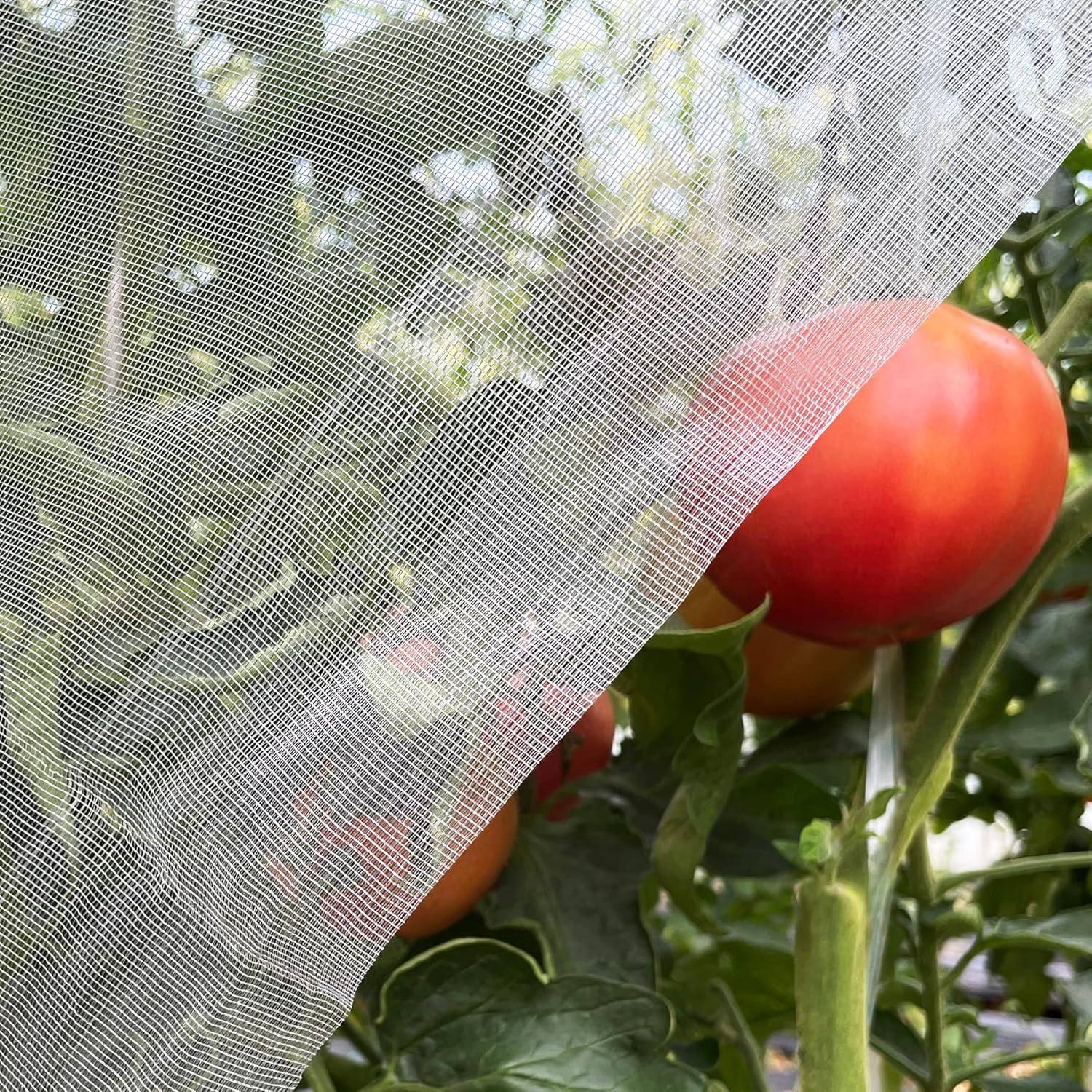 Ultra Fine Garden Netting 4'x1 - Garden Netting Cover incelemesi ve fiyatı