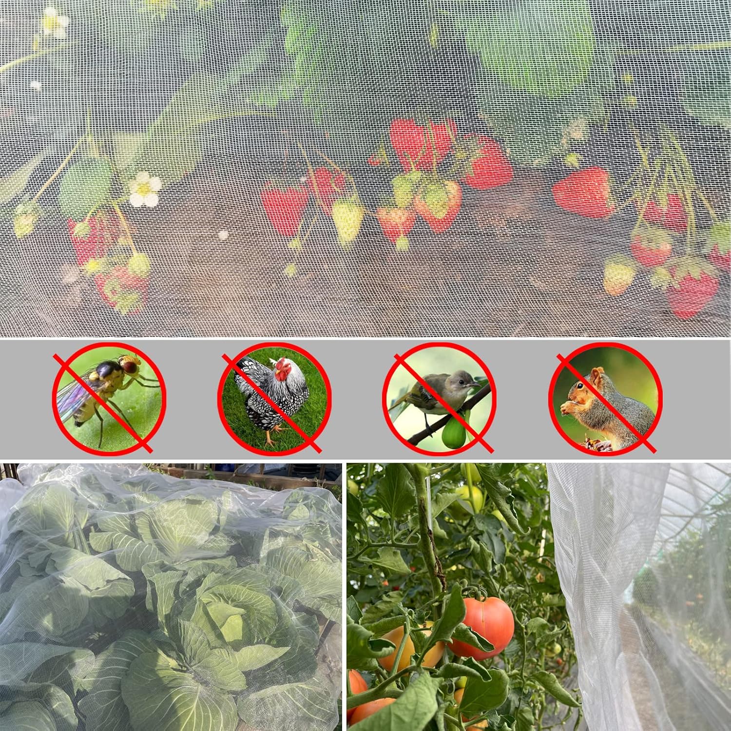 Ultra Fine Garden Netting 4'x1 - Garden Netting Cover incelemesi ve fiyatı