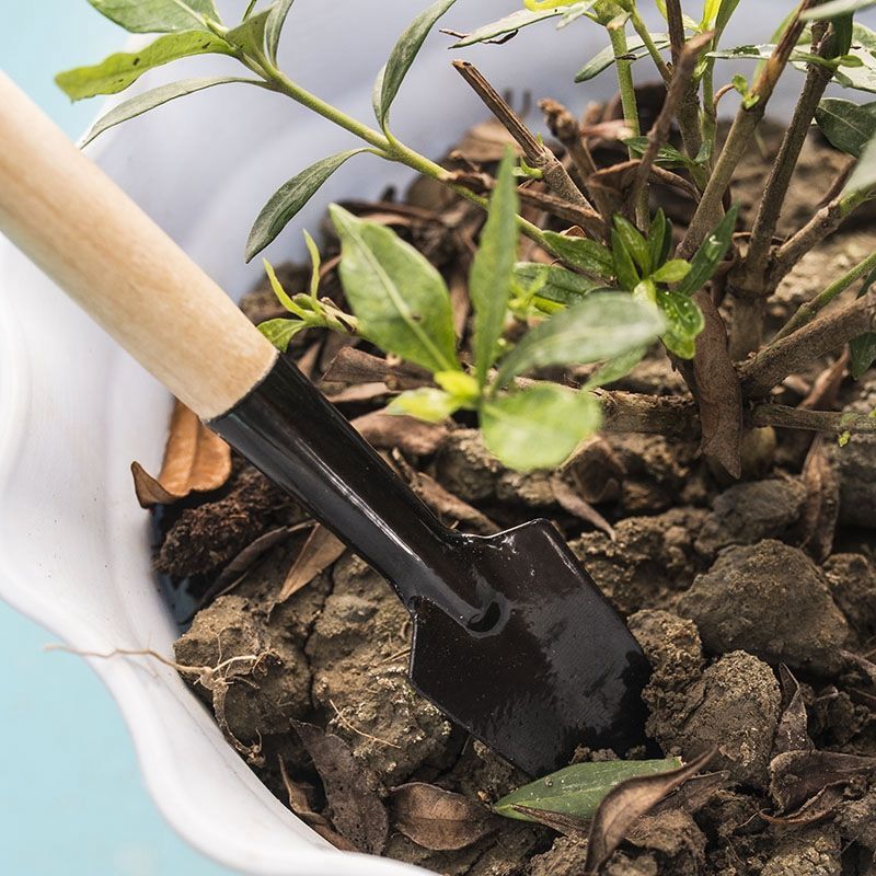 3PC/1Set  Mini Gardening Tools - Gardening Tools For Digging incelemesi ve fiyatı