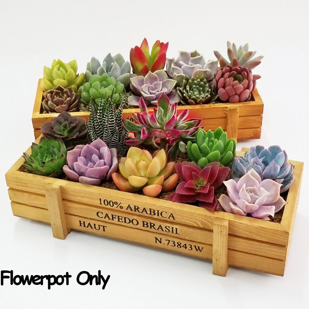 1 PC Tools Garden Decor Trough - Gardening Tools Vintage incelemesi ve fiyatı