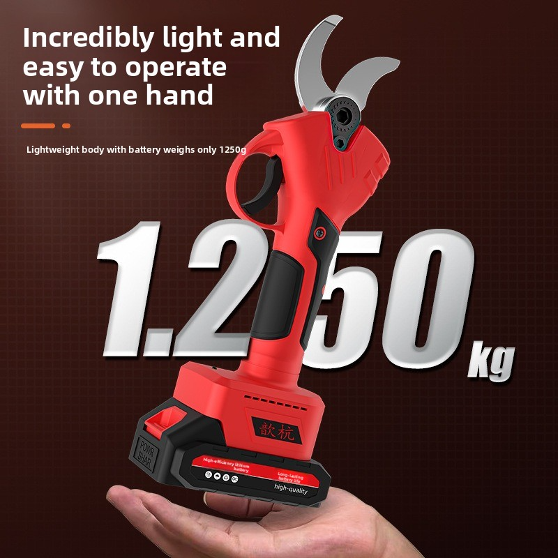 Rechargeable Lithium Battery E - Gardening Tools Brands incelemesi ve fiyatı